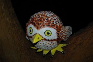 hootsuite owly