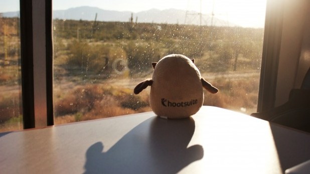 Owly enjoying the view on #HootTrak