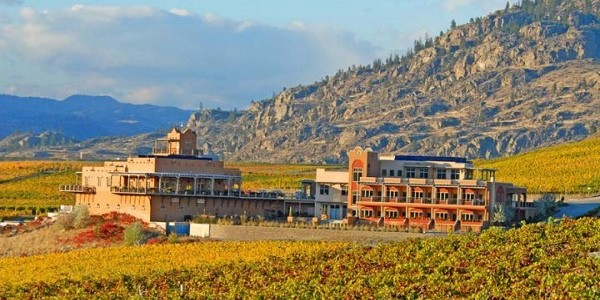 Photo Courtesy of the Burrowing Owl Winery