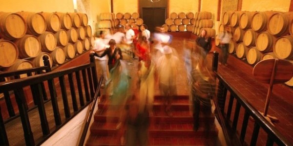Photo Courtesy of Concha Y Toro Winery
