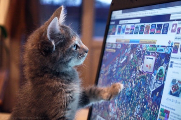 Kitty Nerd by Carolina Valsecchi Gillmeister on Flickr