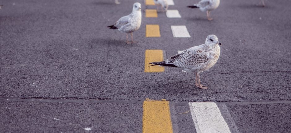 The Dos and Don’ts of Building a Following | Hootsuite Blog