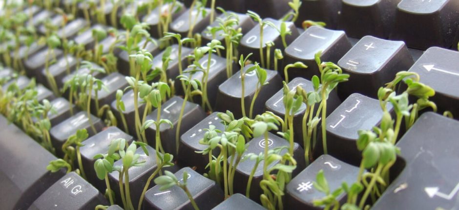 How Social Media Can Create a Better Work Environment | Hootsuite Blog