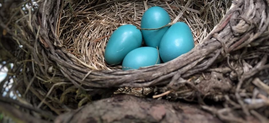 El Marketing de Twitter: La Guía Esencial ES: Cómo Usar Twitter