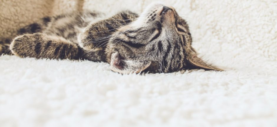 5 Ways to Avoid Social Media Burnout | Hootsuite Blog