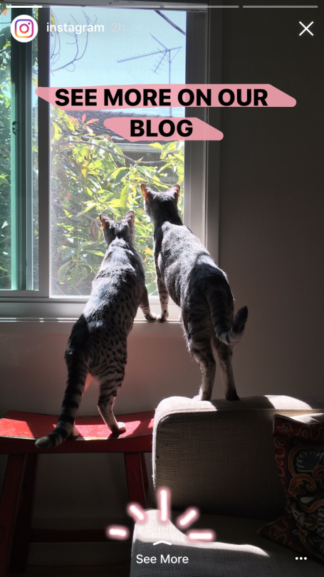 How to Use Instagram Stories: The Complete Guide for Business | Hootsuite Blog