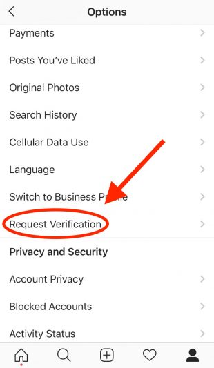 Request Verification button on Instagram app