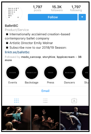 11 Excellent Brand Bios On Instagram To Inspire Your Own