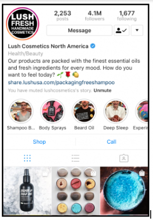 11 Excellent Brand Bios on Instagram to Inspire Your Own - Social Media