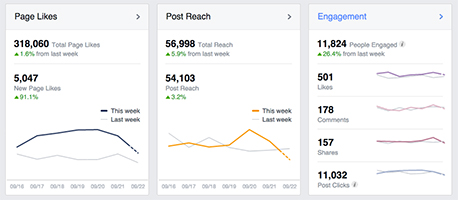 Facebook Page Insights overview