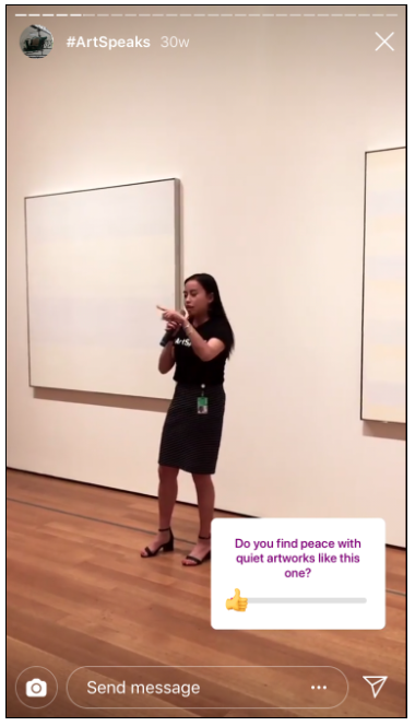 MOMA Instagram poll