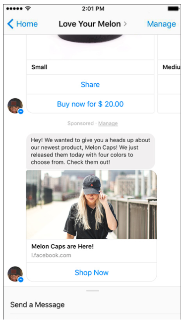 Love Your Melon Facebook Messenger ad