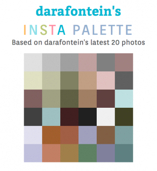 Dara Fontein's insta palette