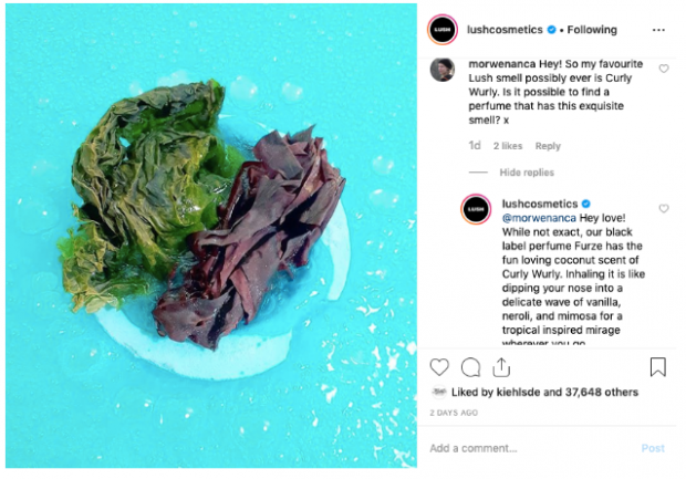 LUSH répondant à une question client sur Instagram