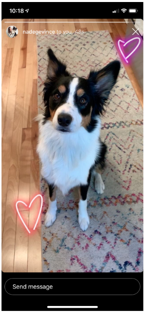 photo of a dog with 2 pink hears, "send message" box below