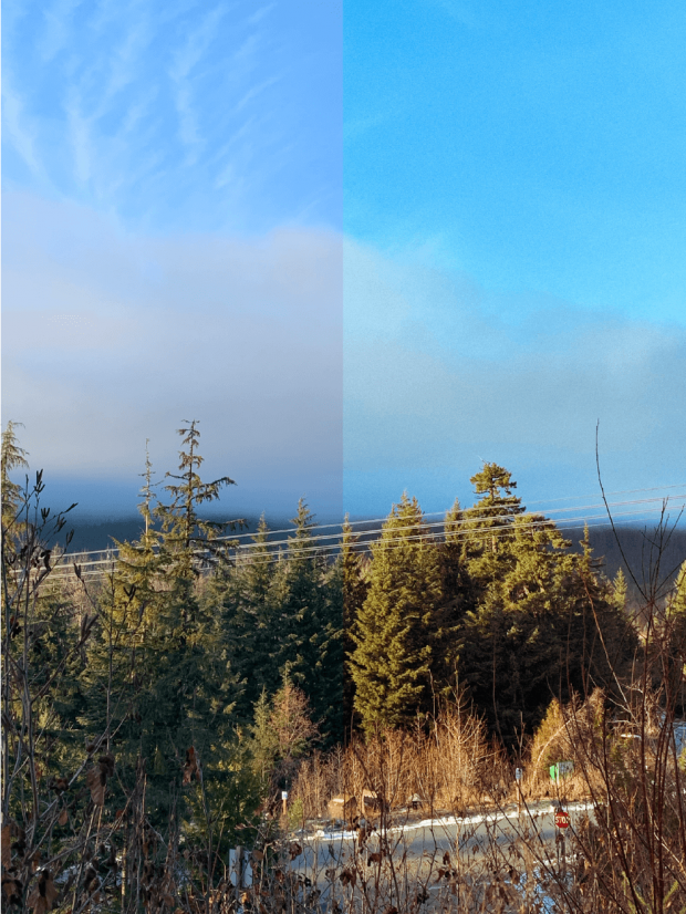 mountain view with trees and blue sky