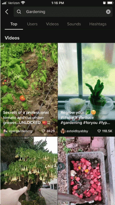 Video di TikTok che vengono visualizzati quando cerchi "Giardinaggio"