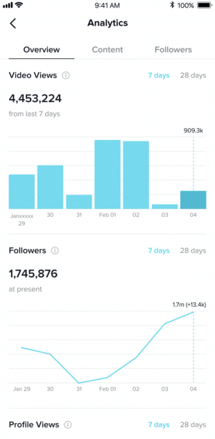 Tiktok Analytics概述选项卡