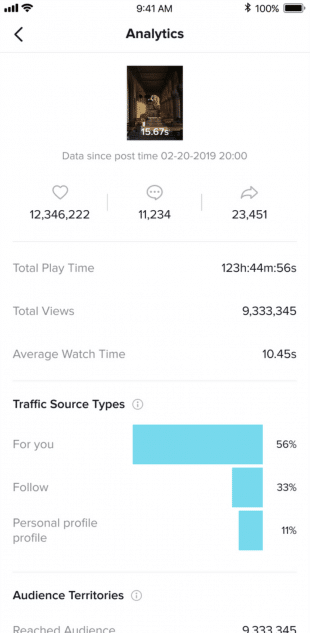 Tiktok analytics for an individual video