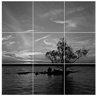 image of a tree on a lake divided into 9 equal squares