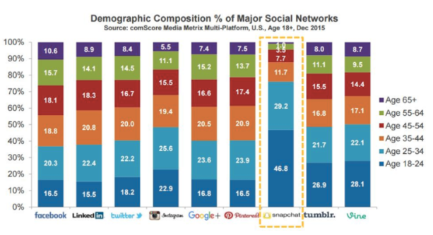 snapchat for business: demographic composition chart