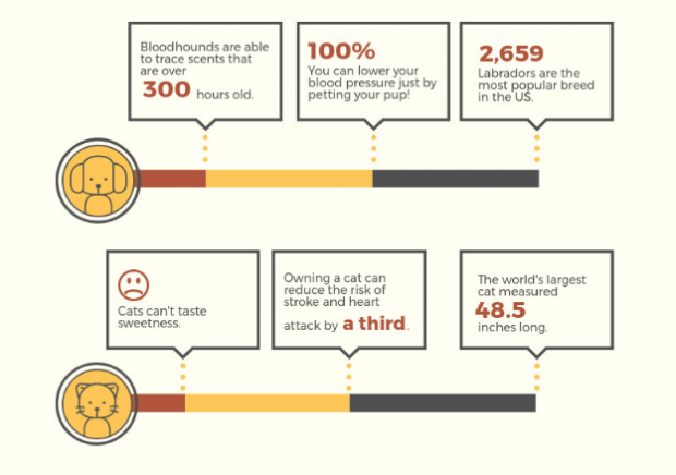 Dog v. cat infographich