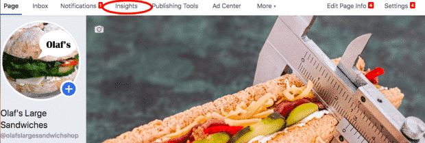 Insights tab on a Facebook page