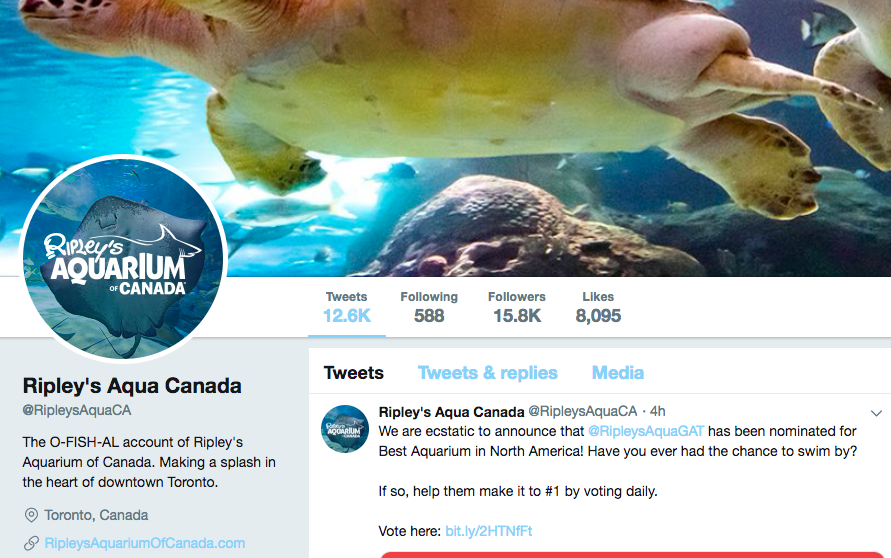 Bio sur Twitter pour l'aquarium de Toronto