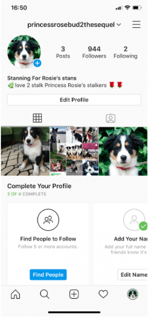 akaprincessrosebud profil Instagram avec 944 faux suiveurs