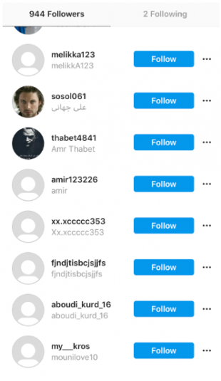 Liste des faux abonnés Instagram de akaprincessrosebud