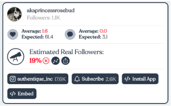 akaprincessrosebud Instagram profile audit showing 19% estimated real followers