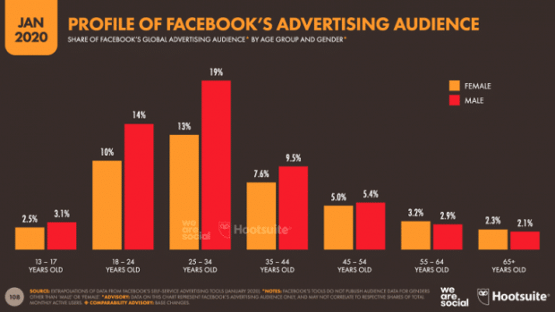 Graphique: profil de l'audience publicitaire de Facebook