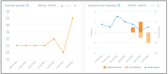 instagram analytics