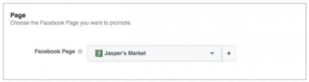 choosing the Facebook page you want to promote