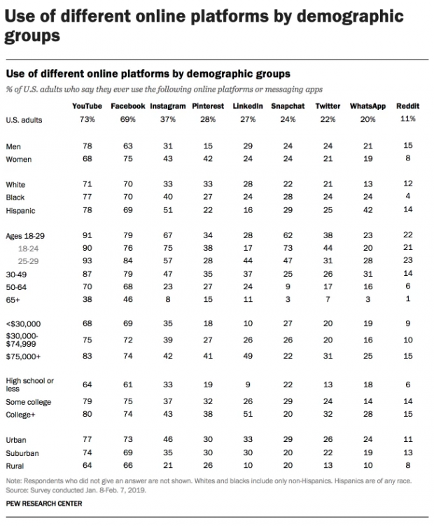 social network demographics