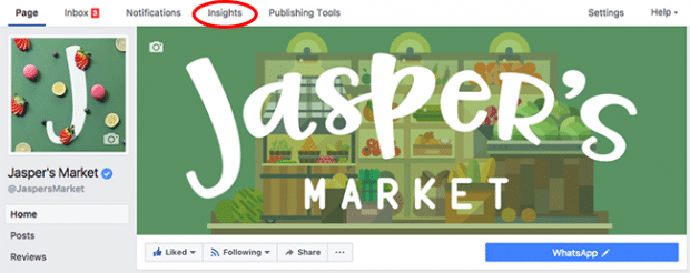 Screenshot of the Insights tab at the top of a Facebook for business page