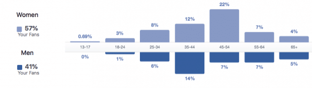 Screenshot of the Facebook Audience Insights view