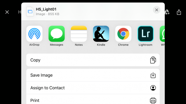 HS_Light01.dng options on mobile, showing: Copy, Save Image, Assign to Contact, or Print