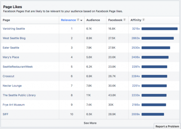 Facebook Audience Insights par Likes Page