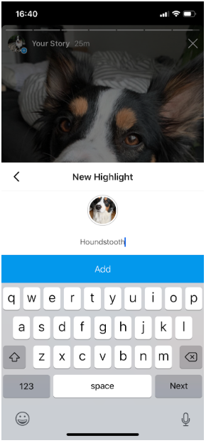 Naming a new Highlight in Instagram: Photo is of a dog smiling at the camera and highlight's name is "Houndstooth." Big blue button that says "Add" at the bottom.