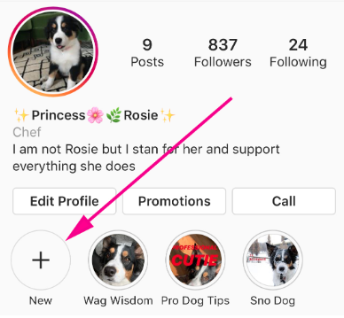 Instagram profile of the dog Princess Rosie highlighting the New + button