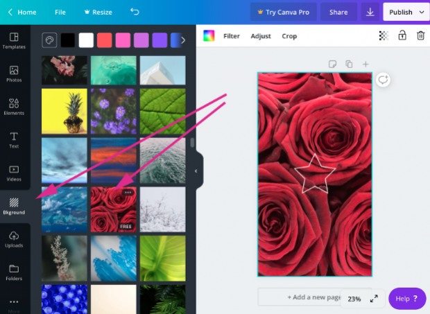 Instagram highlight cover in Canva dashboard with a free "roses" background provided by the tool