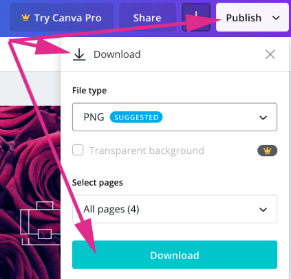 highlighting the "publish" and "download" buttons on Canva (top right and bottom right respectively)