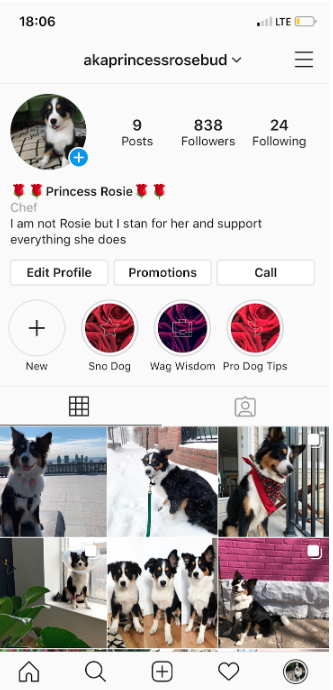 Princess Rosie's Instagram profile with new Instagram highlight covers