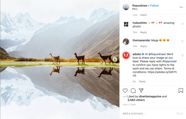 Instagram post of 3 llamas by "flopunktwe" with comment by Adobe asking permission to repost