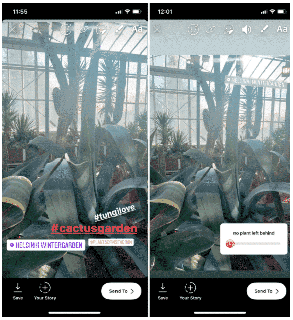 Instagram Story of a cactus garden with 3 hashtags hidden behind a poll sticker