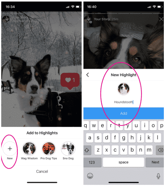 Creating a highlight out of an Instagram Story of a dog in a wintery landscape