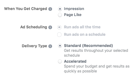 Options de budget avancées lors de la configuration d'une annonce Facebook