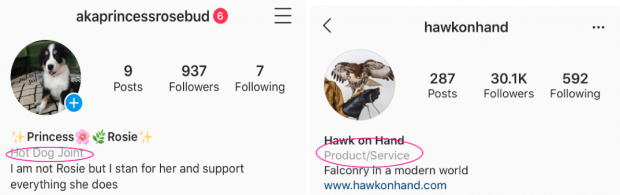 Captures d'écran de deux profils Instagram indiquant le type d'entreprise auquel chaque compte appartient.