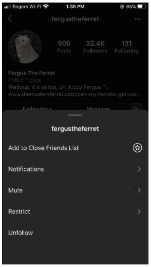 muting an Instagram account called Fergus the Ferret